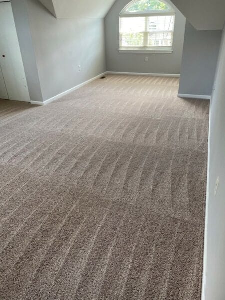 A room with a carpet that has been cleaned.