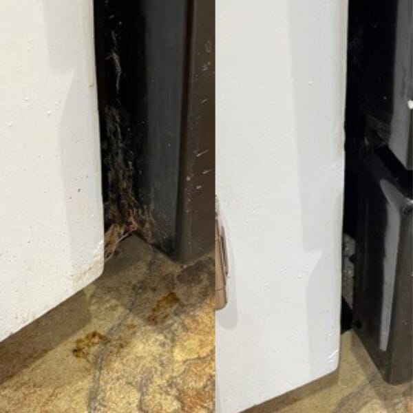 before and after cleanup between wall and refrigerator